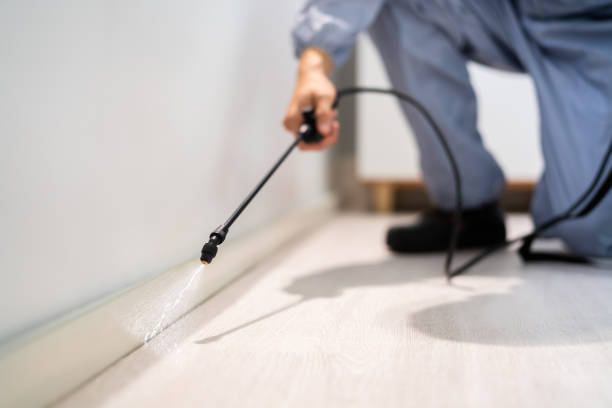 Licensed Pest Control service in Ruston, LA - Show Me Pest Control