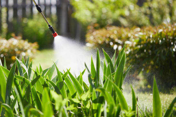24/7 Emergency Mosquito Control experts in Ruston, LA