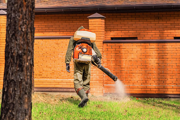 Top rated local Mosquito Control specialists in Ruston, LA
